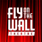 Fly-On-The-Wall Theatre